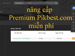 Hướng dẫn cách nâng cấp Premium Pikbest.com miễn phí