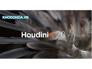 SideFX Houdini 20.0.547 x64 Win Lnx